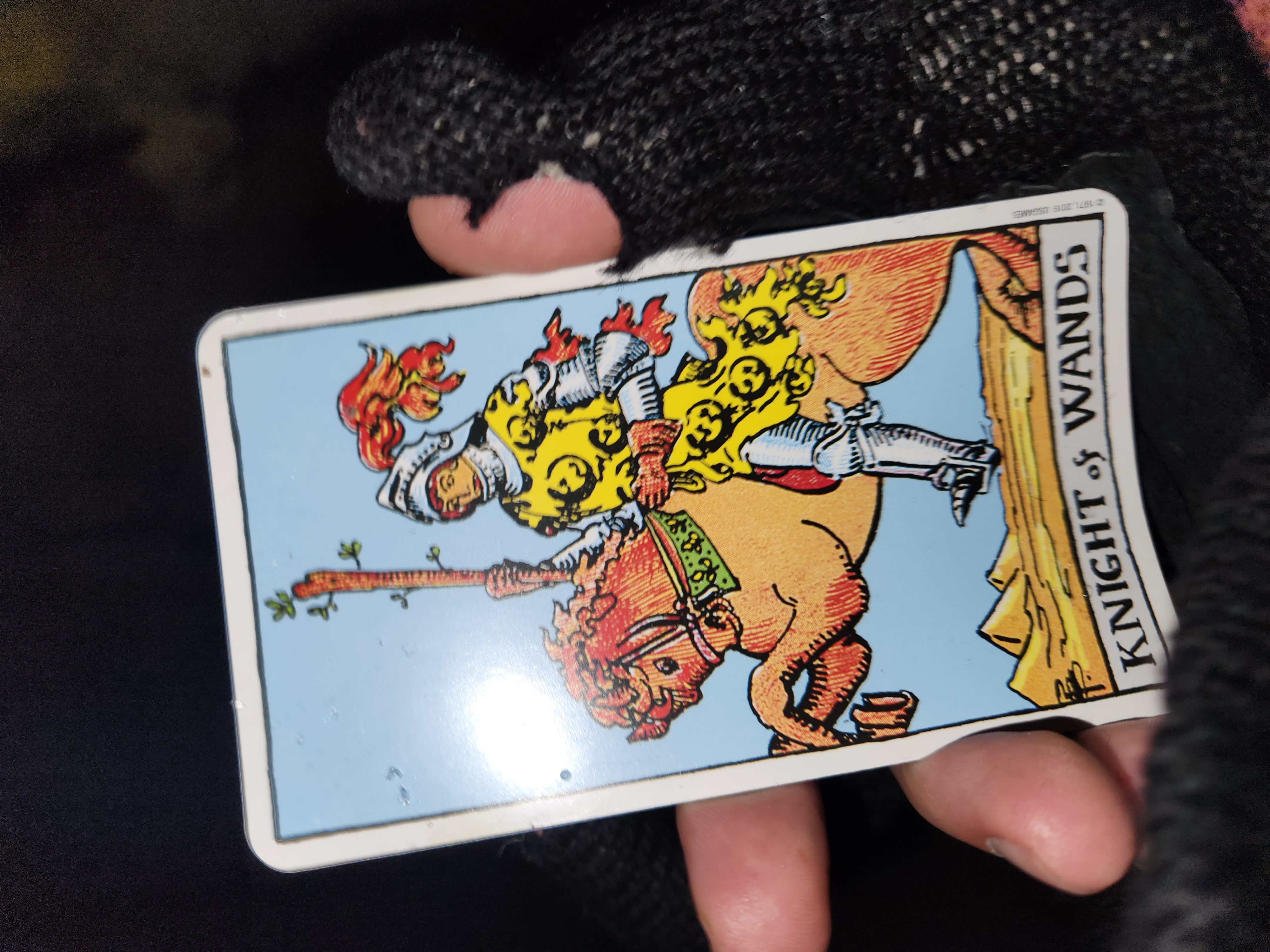 My mitten'd hand holding the Knight of Wands tarot card